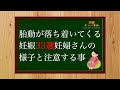 【妊娠33週】胎動が落ち着いてくる!?33週妊婦さんの様子とこの時期に注意すること
