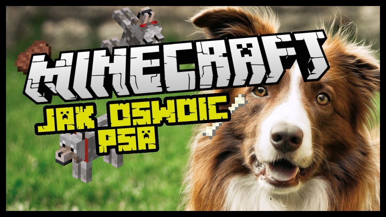 Jak oswoić Wilka/Psa w Minecraft? - YouTube