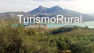 Venta Olivar con Almazara/Molino de aceite y Turismo Rural