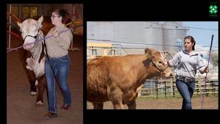 4h slideshow FINAL