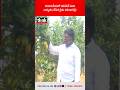 రాయలసీమలో యాపిల్ పంట | అద్భుతం చేసిన రైతు రమణారెడ్డి! #AppleFarming #Anantapur #FarmerSuccessStory