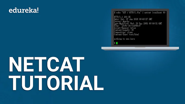 A tech uses the netcat tool on a linux system? (2023)