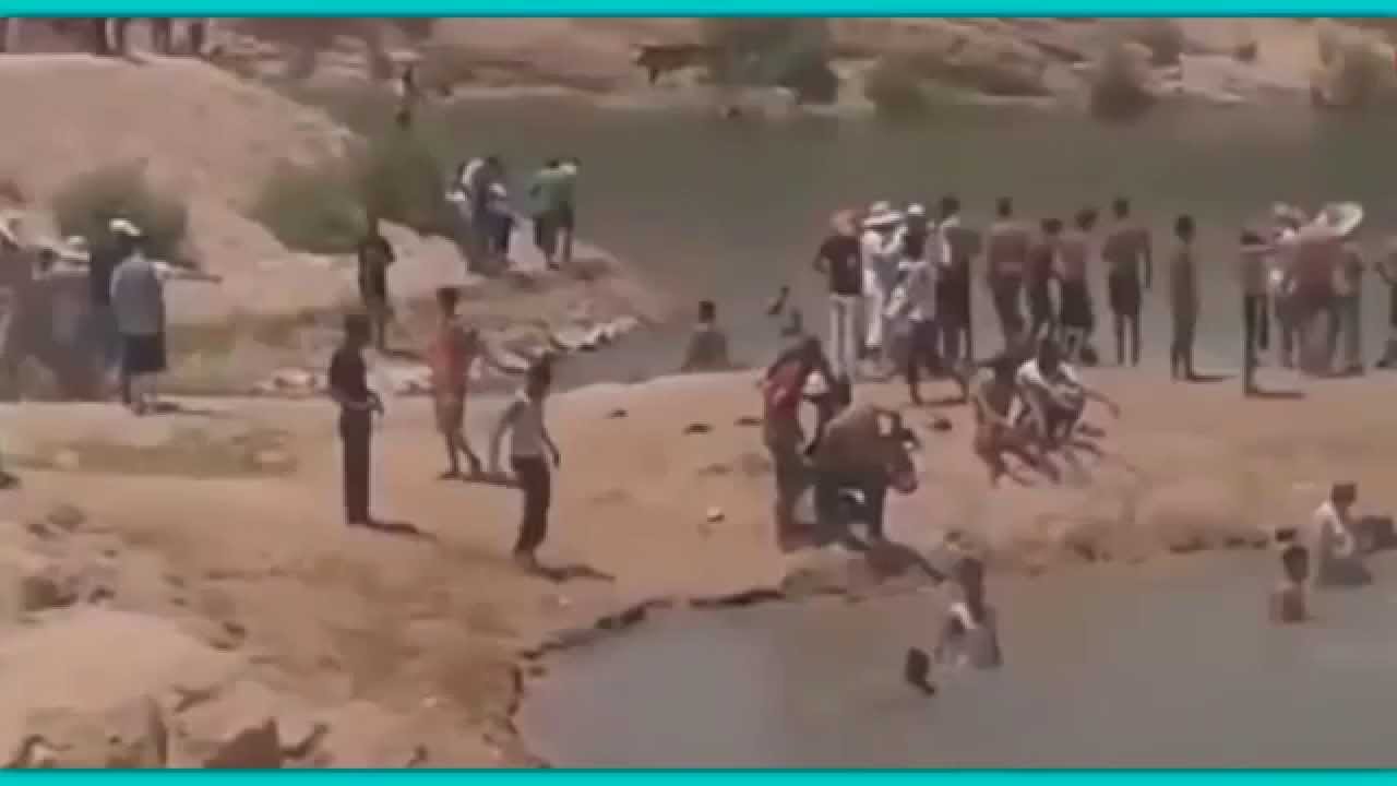 WoW! Mysterious Lake Appears In The Middle of Tunisian Desert! august 2019