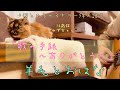 【うたの手紙〜ありがとう〜】羊毛とおはな ゆるゆる弾き語りカバー ねことともに