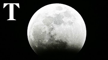 LIVE: Lunar Eclipse from Griffith Observatory in LA