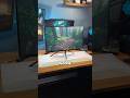 Who wants a free monitor? -Make sure you live in the U.S. and are 18+ to enter the giveaway.