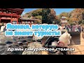 Моя Камакура: Обед, храм , трагедия клана Минамото, океан и прогулка с Моной🐩