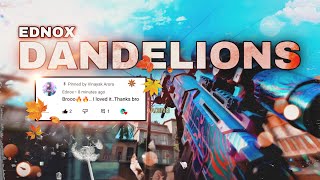 Dandelions - A Codm Edit Ednox Codm Edit