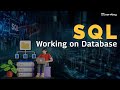SQL | Working on Database | Learnbay