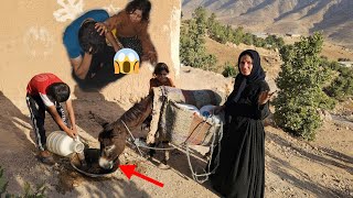 "Susan's healing help to Reza and welcoming our new donkey"🫏
