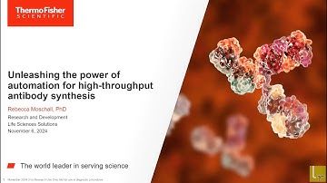 Unleashing the Power of Automation for High Throughput Antibody Synthesis