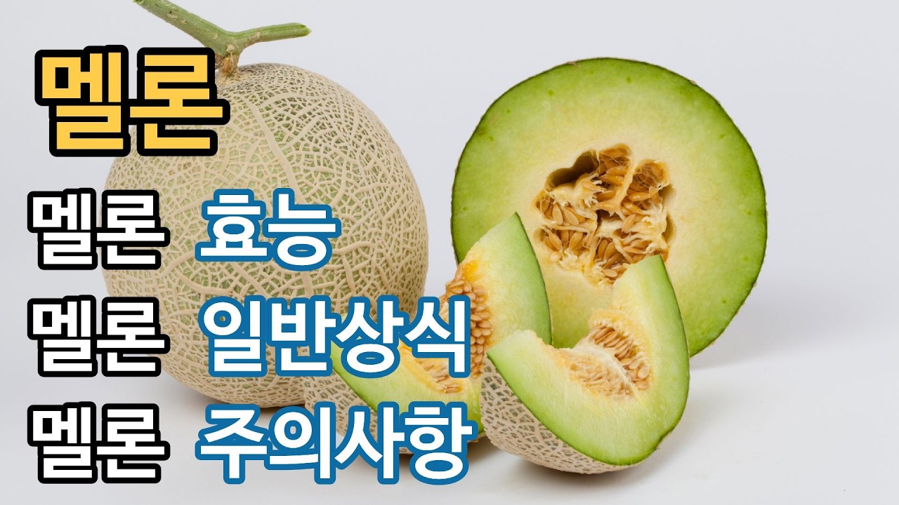 왕의 식탁에서 우리 집 식탁까지, 4천 년을 기다려온 멜론의 숨겨진 생명 공학적 비밀