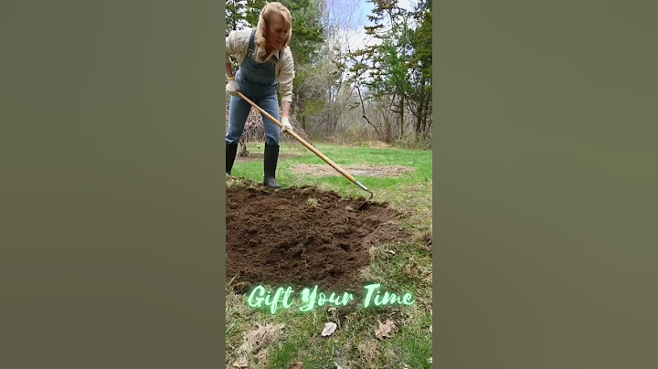 Cheap or Free Gift Ideas | Christmas on a Budget