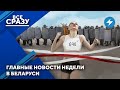 Последняя надежда режима / Победитель миграционной войны / Золотые мечты диктатора