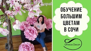 ОБУЧЕНИЕ БОЛЬШИМ ЦВЕТАМ В СОЧИ. Живые мастер-классы "Большие цветы для бизнеса" от Olneva Decor