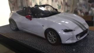 ウェーブ T・ケース（M）