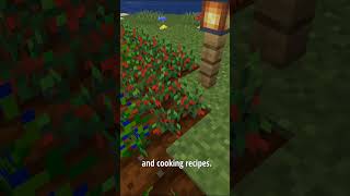 🌾 Croptopia – The Ultimate Farming Mod for Minecraft! 🍎🥖