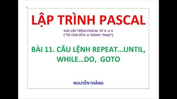 ✅BÀI 11  CÂU LỆNH REPEAT UNTIL, WHILE DO,  GOTO