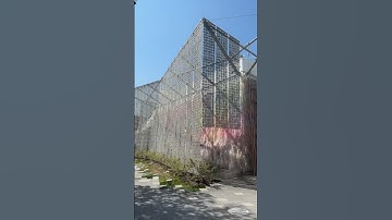 Take the tour around Expo 2025 Osaka: NTT Pavilion
