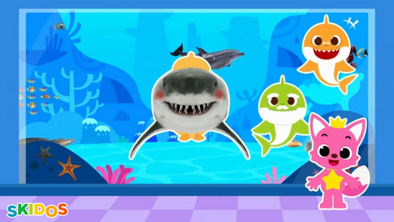 🦈 Baby Shark Song on SKIDOS | Baby Shark Story, Nursery Rhyme | Hide and Seek 1🎵