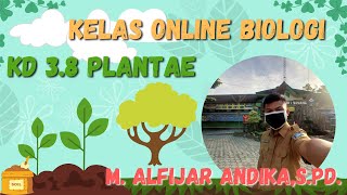 Kelas Online Biologi - Materi Biologi Kelas X Bab Plantae