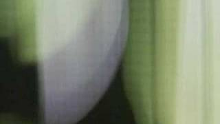 Celebrity Hypercube Content 5 Profile