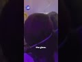 Passenger almost sucked out of plane window | 9 News Australia