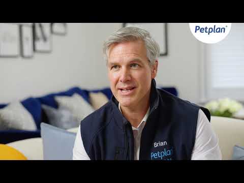 Petplan Veterinary Expert Brian Faulkner - Introduction