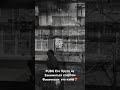 😎ПУБГ🐺🐾#sports #pubgmobile #new #newstatus #newreels