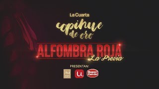 Copihue de Oro 2018 - Previa AR