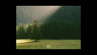 Raw Alek Olsen X Acoustic Guitar Type Beat - Dear July