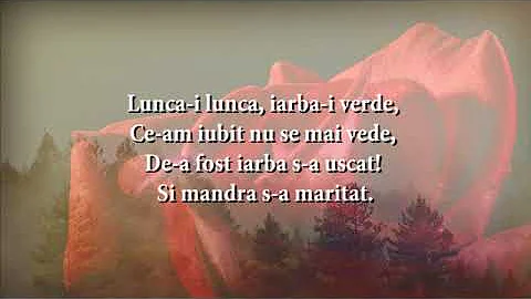 Nelu Hutu - Trandafir de la Moldova (versuri, lyrics, karaoke)
