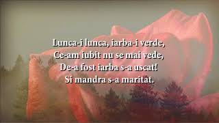 Nelu Hutu - Trandafir de la Moldova (versuri, lyrics, karaoke)