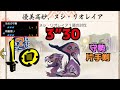 [MHRise] ヌシ・リオレイア 守勢片手剣 3”30 / Apex Rathian SnS / 首領雌火龍 片手劍