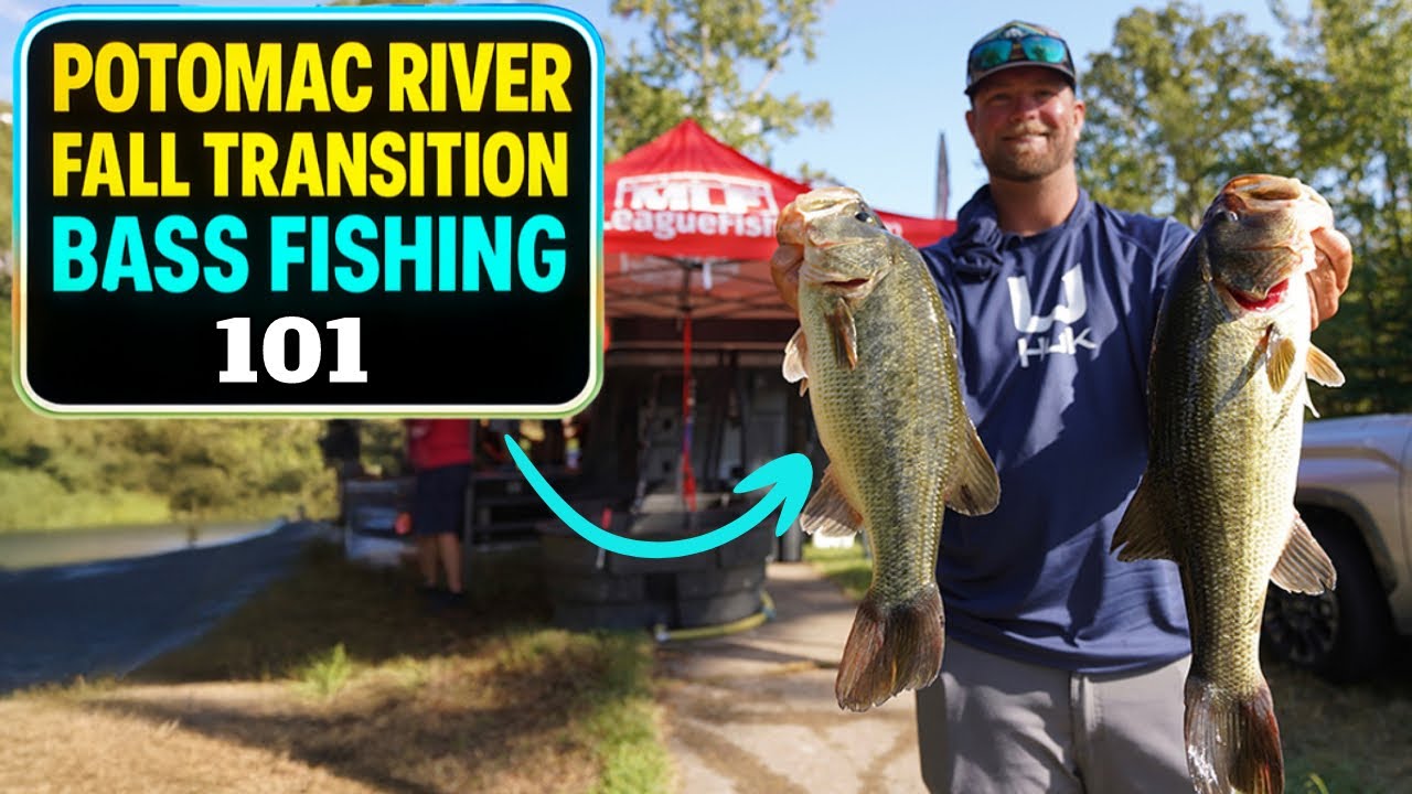 Осенняя рыбалка на окуне на реке Потомак с Мэттом МакКласки