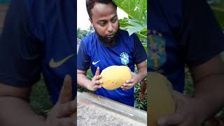 Paka Pepe Parar Mojai Alada...