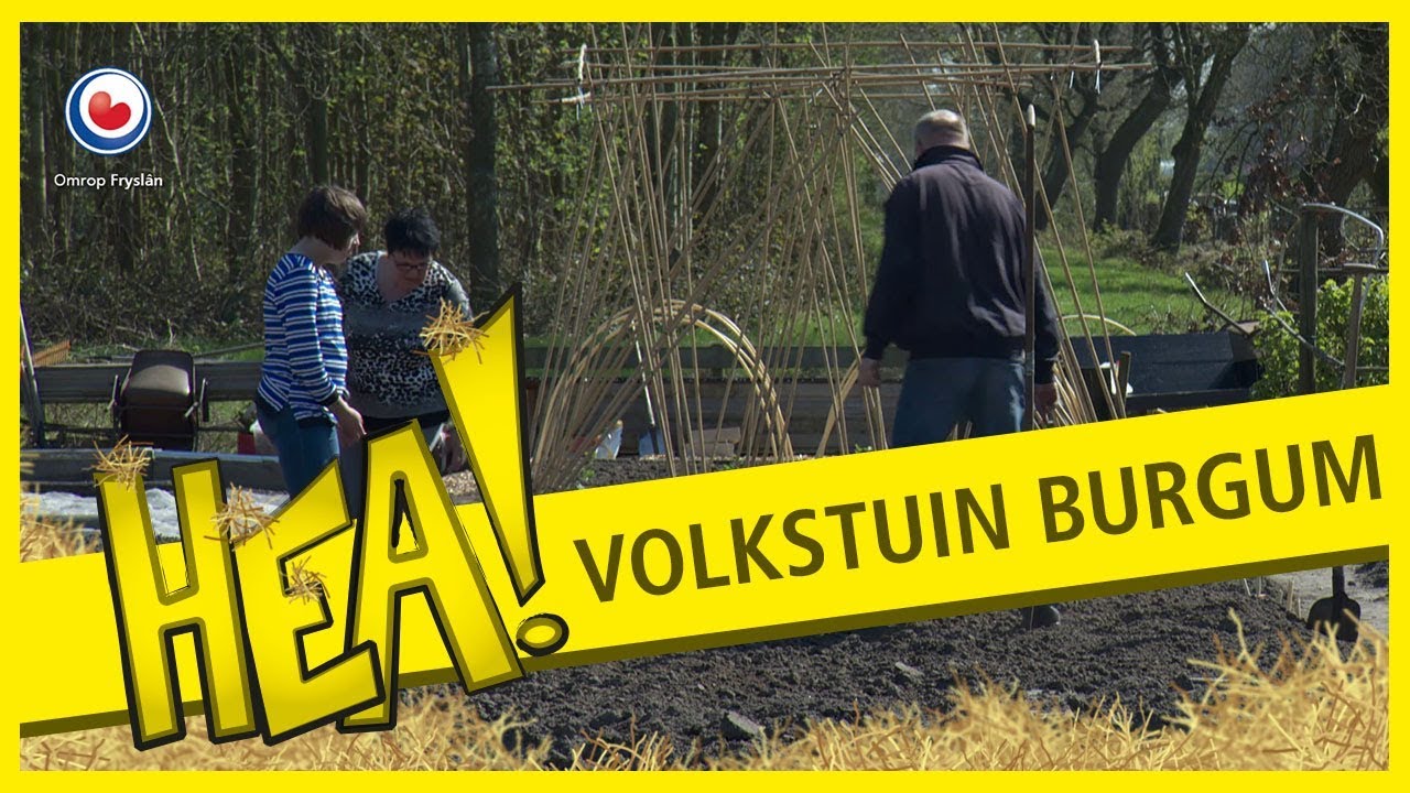 Hea!: volkstuin Burgum