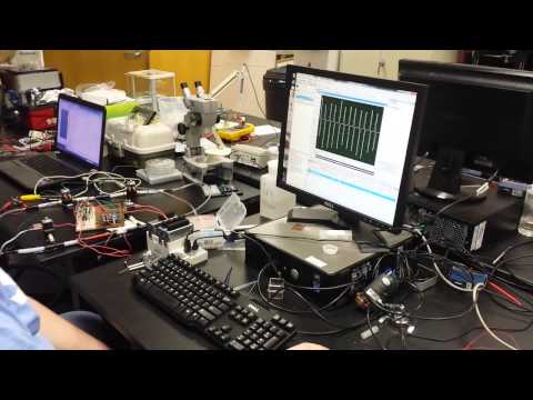 First test with LabVIEW