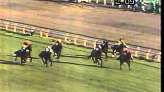 シャコーグレイド 東京スポーツ杯 現地購入的中単勝馬券 トウカイテイオー引退式 シャコーグレイド 1994年10月23日 東京スポーツ杯 - YouTube