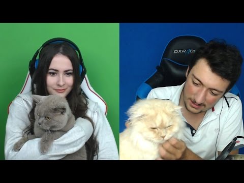 KEDİ ISLATMA CEZALI GÜLMEME CHALLENGE (Piques)