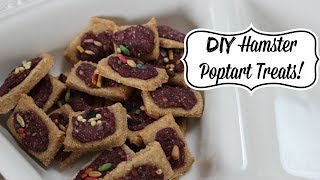 DIY Hamster Poptart Treats