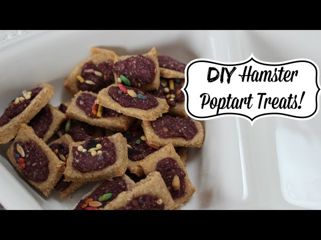 9. Oven Baked Treats for Hamsters