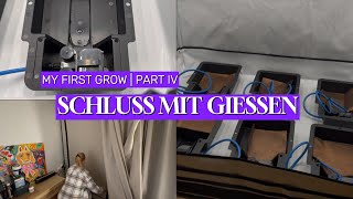 My first grow - Part IV - Schluss mit Gießen