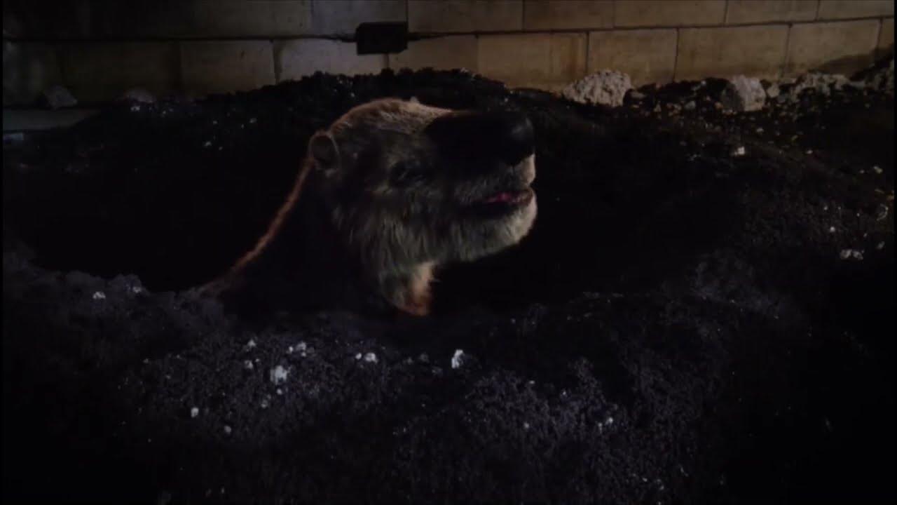 Natural History Museum Alive [2014] Glossotherium Screen Time YouTube