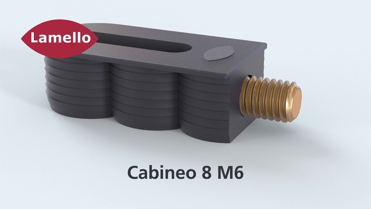 Processing options with Cabineo 8 M6