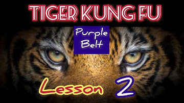 learning kung fu at small space / tiger kung fu lesson 2 / 虎拳第二课