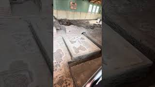 Exploring Ancient Mosaics, Sofia, Bulgaria, Europamundo from Alexandre Z. 🇧🇬