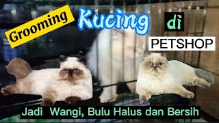 Grooming kucing Di PETSHOP,  di daerah Condet/Jakarta Timur screenshot 5