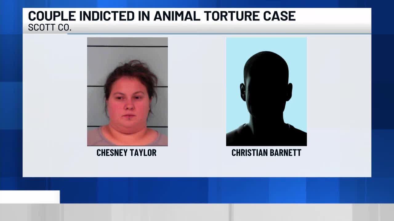 Ky. couple indicted in animal torture case - YouTube