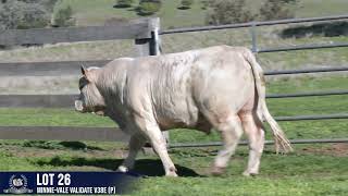 LOT 26 MINNIE VALE VALIDATE V38E P
